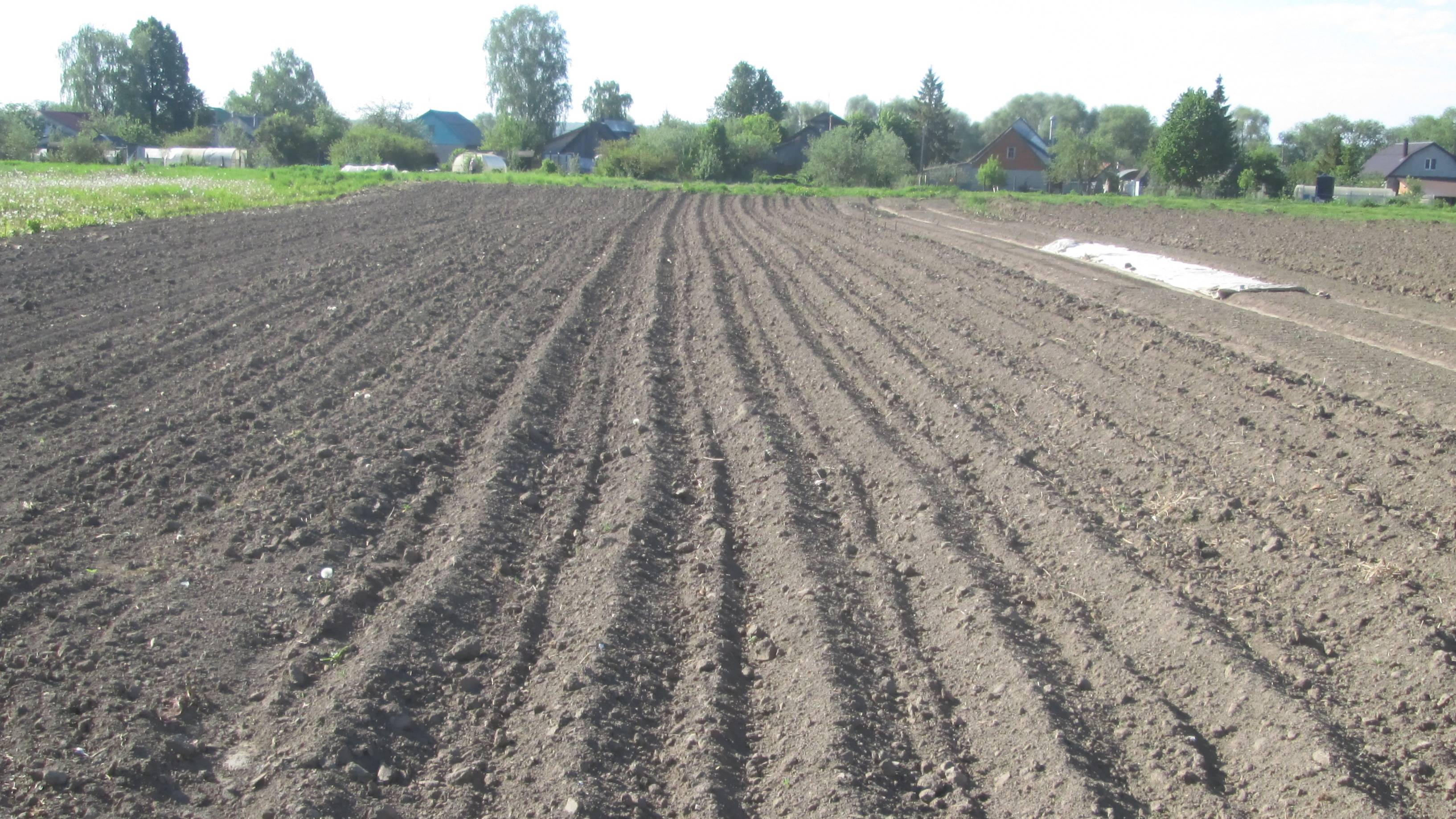 Огород посажен