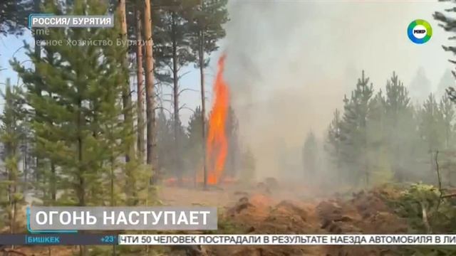 ТК МИР_Природные пожары в Бурятии смотреть онлайн