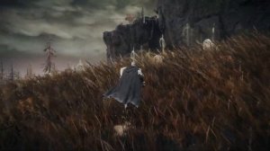 ЛУЧШАЯ БРОНЯ ИЗ DLC Elden Ring Shadow of the Erdtree