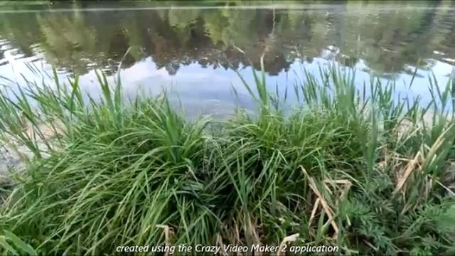 силовая круговая тренировка Trailrunning