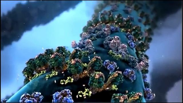 [Чтение для ленивых] Тело: Руководство Пользователя смотреть онлайн