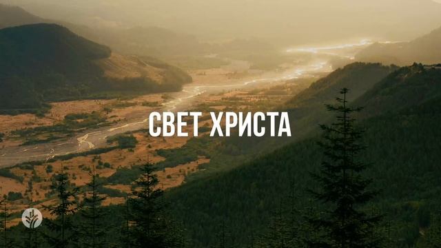 СВЕТ ХРИСТА | Ежедневное христианское чтение | 24   дека?