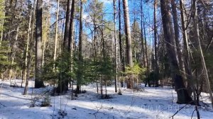 Обратной дороги нет. Истории Рядом