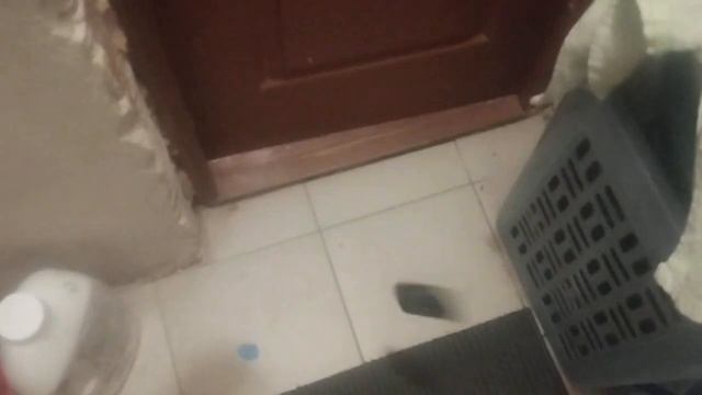 Дроп тест Samsung Sgh-B130