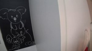 ГУДИТ ХОЛОДИЛЬНИК И СКАПЛИВАЕТСЯ ВОДА? ПРОСТОЙ СПОСОБ