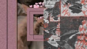 ты похож на кота × astral step. 1 час.