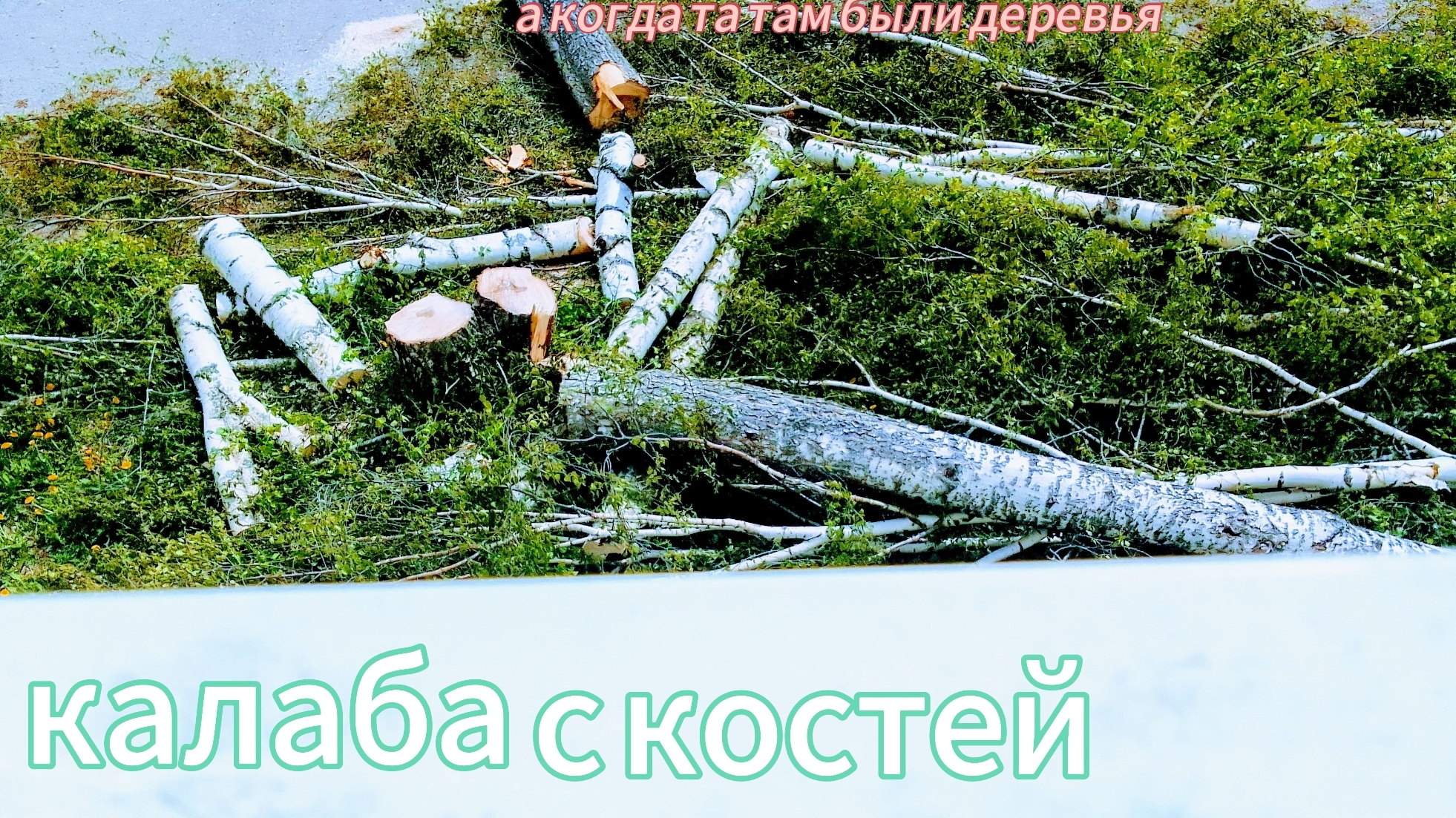 от нас деревья убежали смотреть онлайн