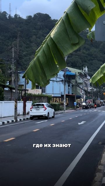 🛵Почему тайцам можно ездить без шлемов, а туристам нет? смотреть онлайн