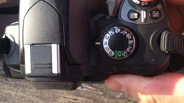 Nikon D40 в 2024 году, первые впечатления и примеры фото на к? смотреть онлайн