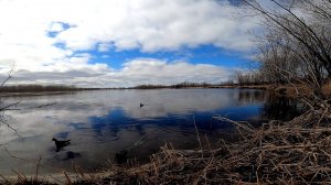 Природа Мать наша! 03.06.2021