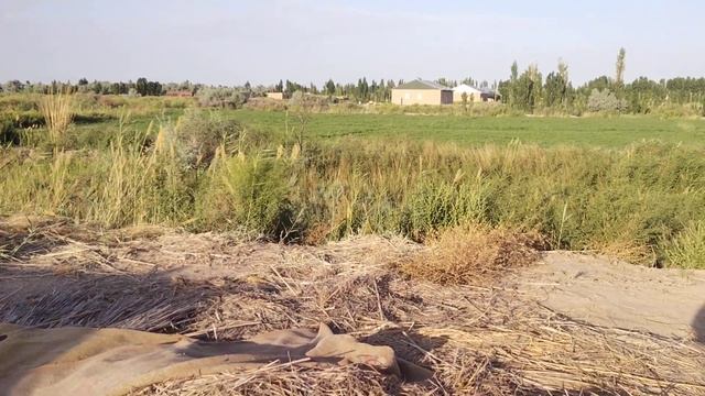 АССАЛАМ АЛЕЙКУМ УЧАСТОК СОТИЛАДИ МУРЫЖАТ УЧУН ТЕЛЕФО? смотреть онлайн