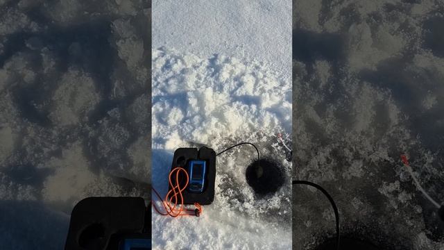 Безмотылка микро муравей ловит в глухозимье. Поймал окуня, плотву и ерша. Блесна молчит. Февраль 25 смотреть онлайн