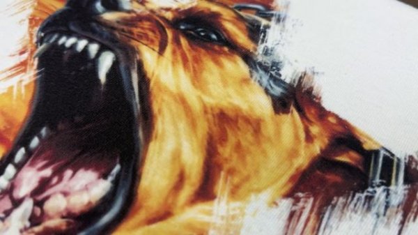 Текстильный принтер PrintBot A3+