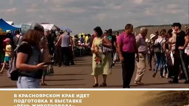 О хлебе насущном от 13.07.19 смотреть онлайн