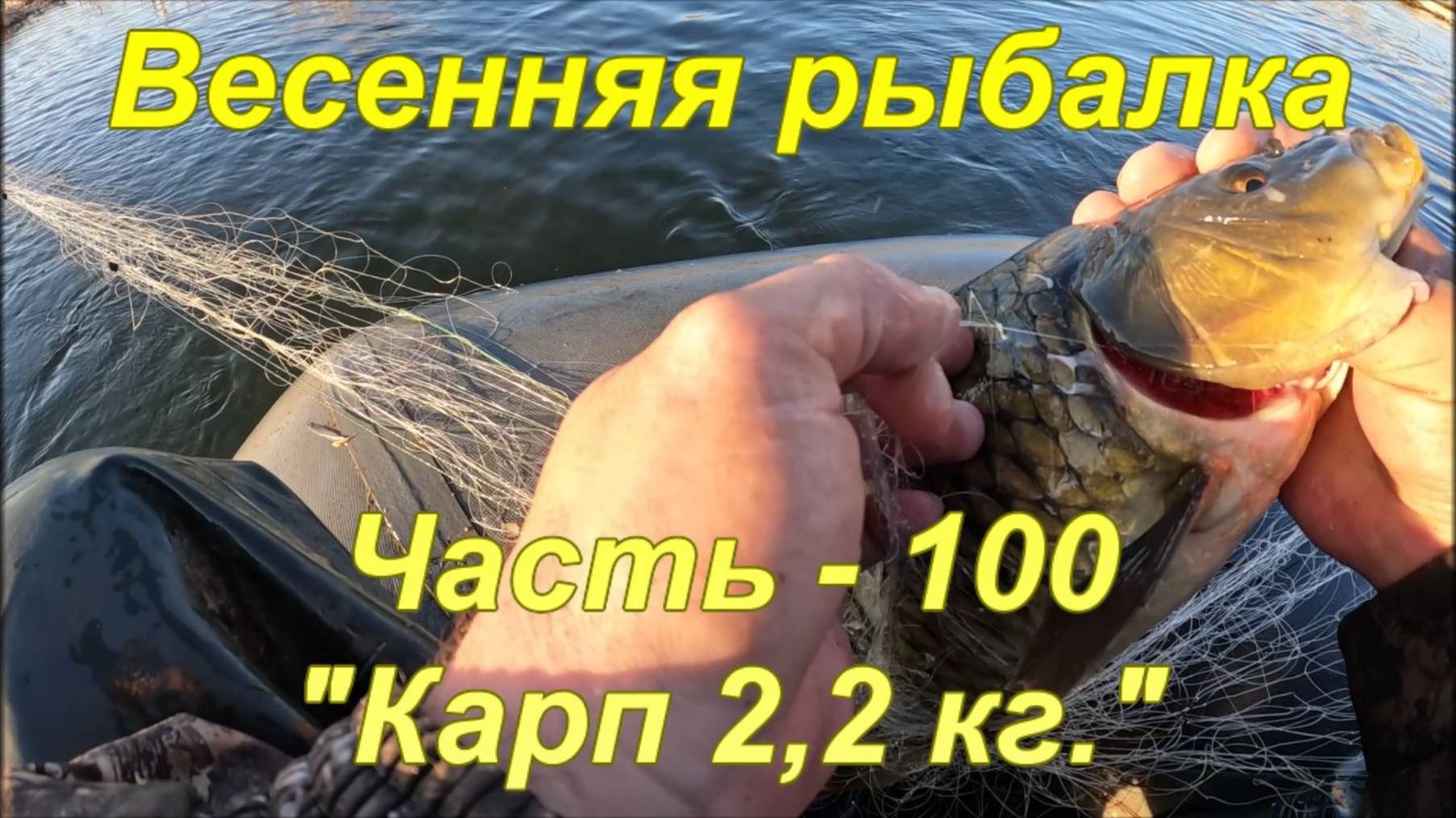 Весенняя рыбалка. Часть - 100 "Карп 2,2 кг.". смотреть онлайн