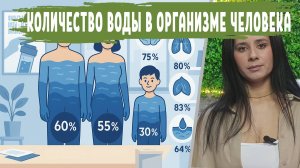 Сколько воды в человеке ПРОЦЕНТАХ и ЛИТРАХ. Формула расчета. Органы с наибольшим содержанием
