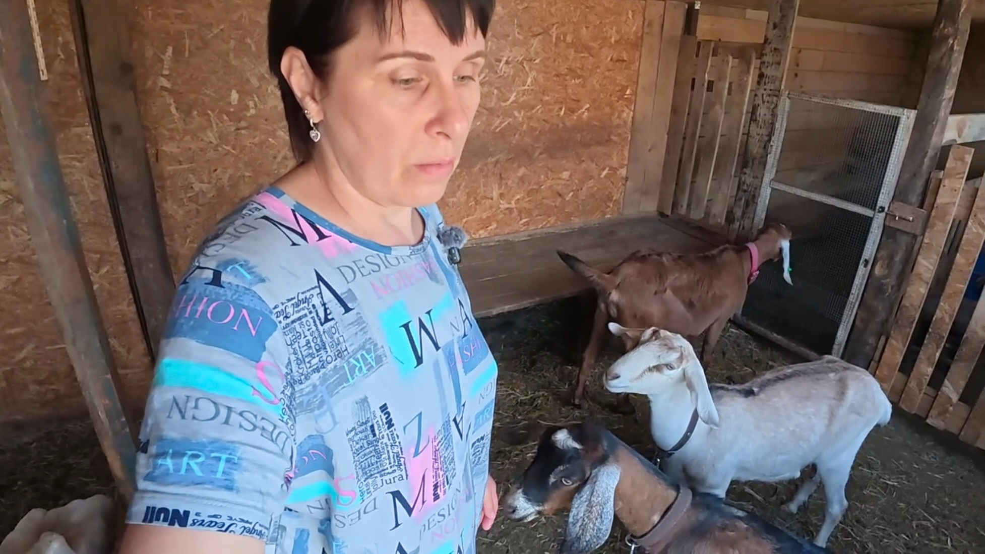 Вот и вся история. Все занимаются своими делами. Жизнь простых людей в деревне смотреть онлайн