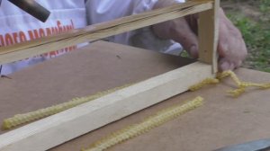 КАЧЕСТВЕННЫХ ПЧЕЛИНЫХ МАТОК ВЫВЕСТИ САМОМУ