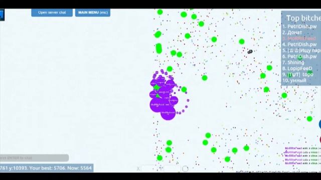 ЧашкаПетри | OneShot