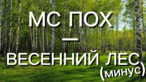 Мс пох «весенний лес»,без слов