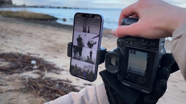 Инструкция по лайфстайл съемке с животными от фотогра