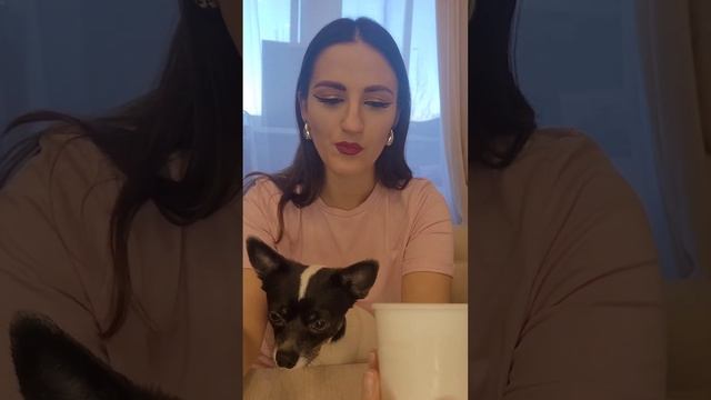 Самое странное мороженое 🍦 из ВкусВилла