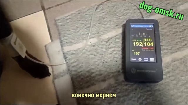 Неожиданная беда, КРЕКЕР.