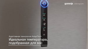 Холодильник Gorenje NRK6202AXL4