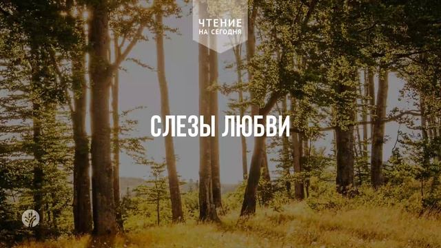 СЛЕЗЫ ЛЮБВИ | Ежедневное христианское чтение | 1    апре?