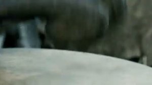 Волкодав хороший фильм🎥🎬👀