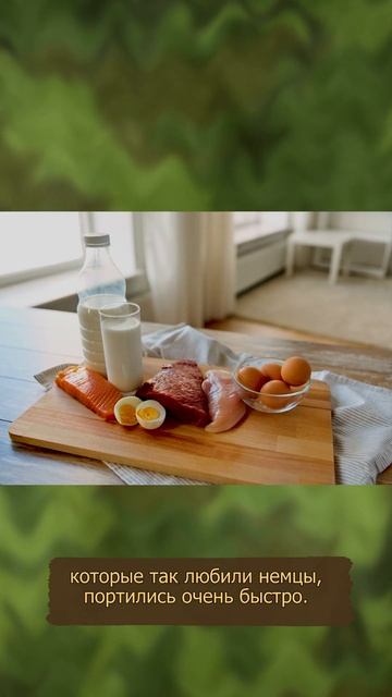 Ходить босиком и общаться с женщинами: что запрещалось делать немцам в Африке? #двевойны #история смотреть онлайн