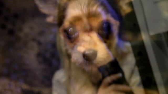 Aleksandr [HammAli] Aliev : Приглашает на Студию СПЛАВ СЛОВ смотреть онлайн