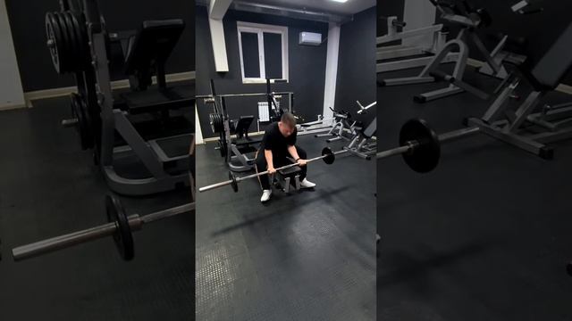 В честь нового года создали небольшой клип с видео кот смотреть онлайн