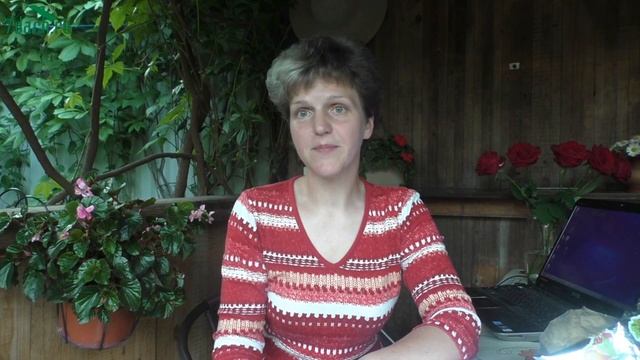 Сидераты. Как заменить сидератами навоз - 7dach