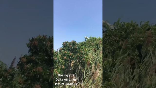 Небольшой споттинг в Нью Йорке/JFK