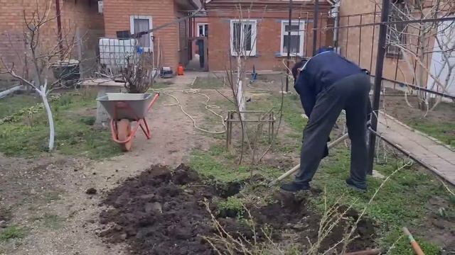 Купила дом кубанец. Работаем на приусадебном участке. смотреть онлайн