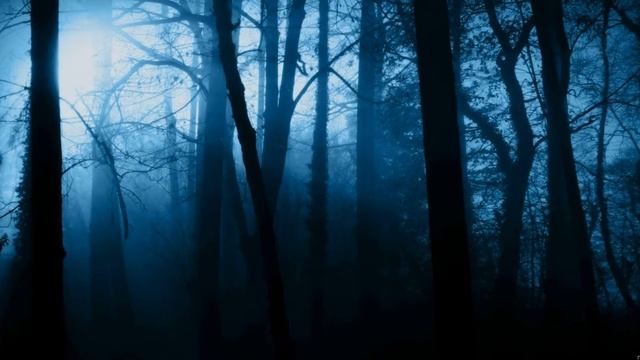 Ужас продирает до костей! ** НЕУПОКОИННЫЕ ДУШИ ** Страшная история мурашки по коже. смотреть онлайн