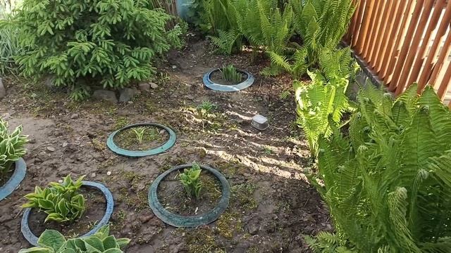 Ждём заморозки. смотреть онлайн