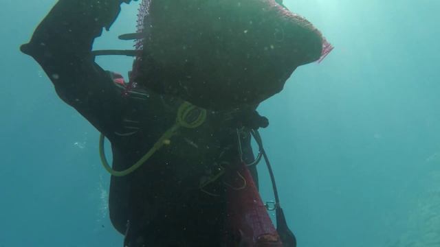 СТАРО ПРИСТАНИШТЕ🦸🏻♂️Нуркачки Центар Акватек 🌍 смотреть онлайн