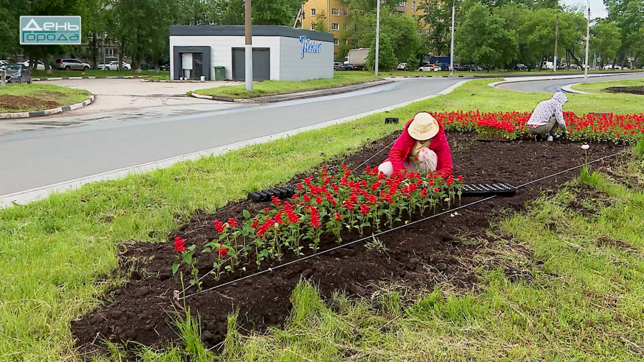 Благоустройство цветников смотреть онлайн