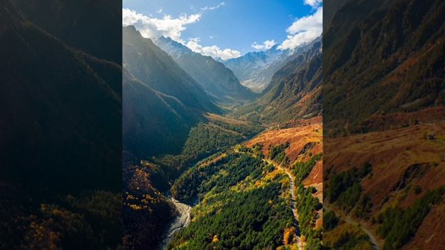 Бонвæрнон - Терчы был