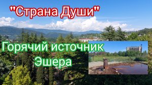 Отель, базар, источник — почему отдых в Абхазии не забывается