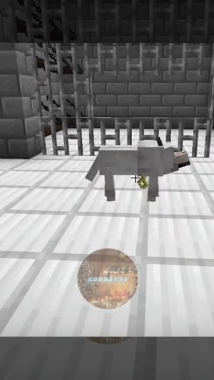 Игра кальмара в майнкрафте часть 8