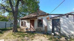 Финал уборки и облагораживания моего старого 100-летнего самана. Хоть сама переезжай) 😍