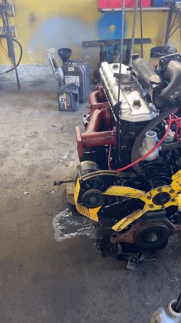 #двигатель #мтз #трактор #беларусь #гбц #запуски #запуск смотреть онлайн