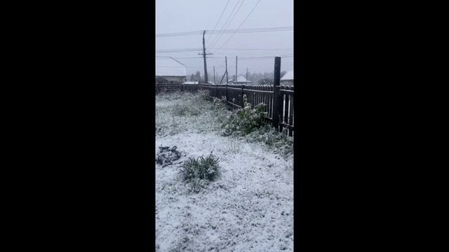 Майский снегопад в Республике Алтай смотреть онлайн