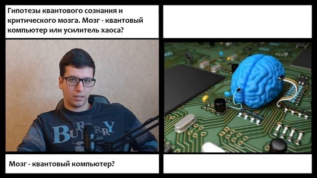 Гипотезы квантового сознания и критического мозга. Мо смотреть онлайн
