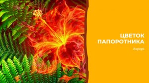 Цветок папоротника