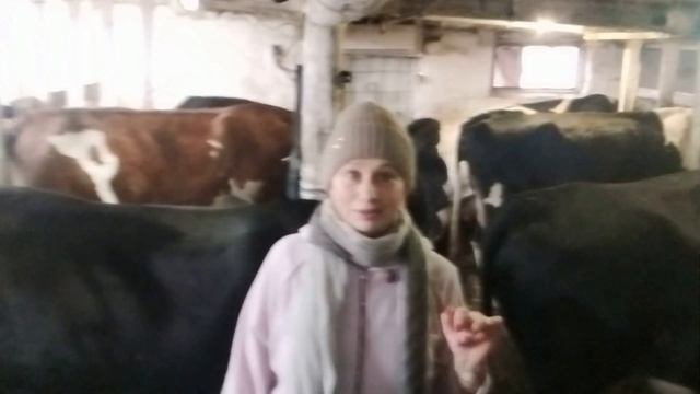 Срочно продаю хозяйство смотреть онлайн