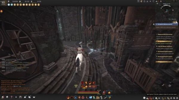 BDO. Как обменять костюм Ра Орзеркии на другой класс